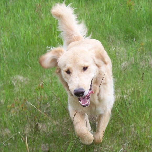 WELCOME - Picture 2 of 3